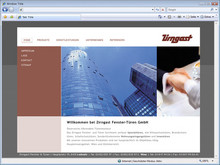Content Management System, CMS, Internet,  Werbeagentur und Webagentur Graz